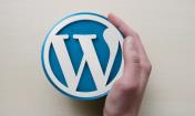 This is how 455 million WordPress sites can now accept dogcoins