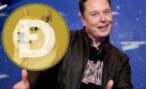 Elon Musk Is Warned About Dogecoin and the SEC by the Founder of Crypto-Law